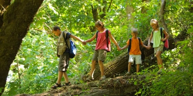 Prevent Tick Bites this Summer