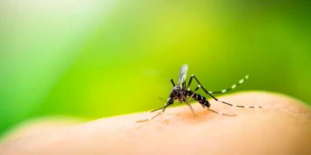 Concern over Zika Builds in Oklahoma