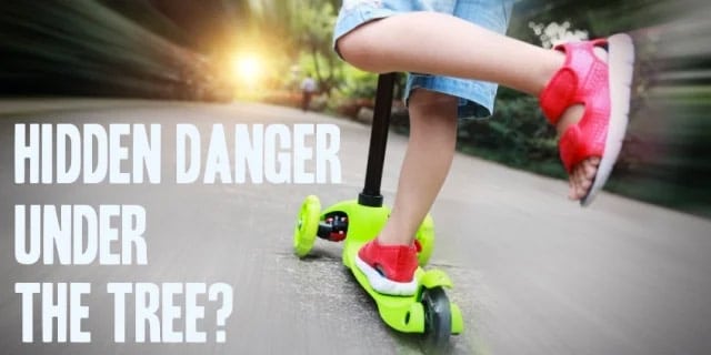 Hidden Danger Under the Tree – Toys and Children’s Injuries